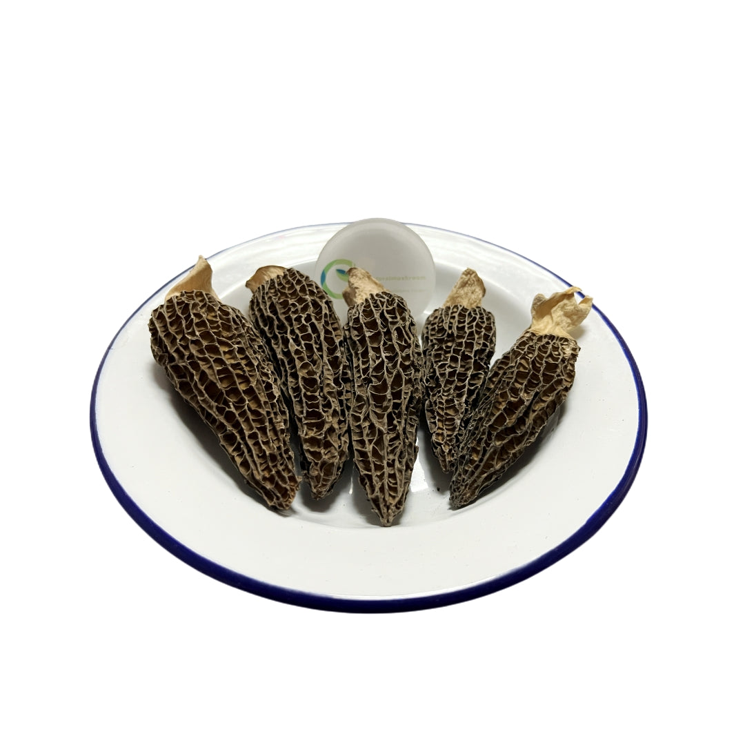 5-8 cm Natural Dried Morel Mushroom , Dried Morchella Conica