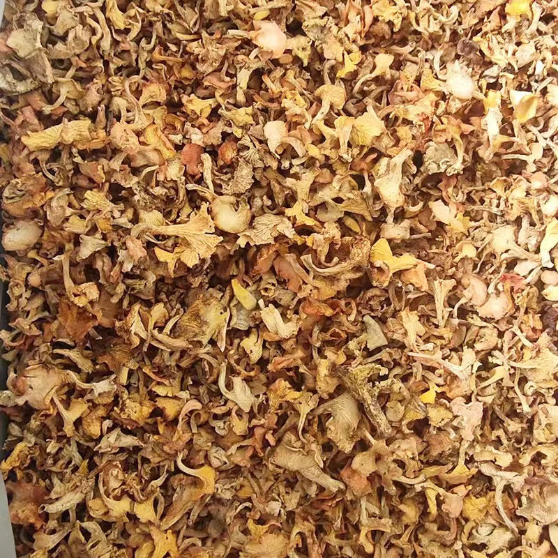 Wild Dried Chanterelles Mushroom