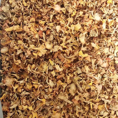 Wild Dried Chanterelles Mushroom