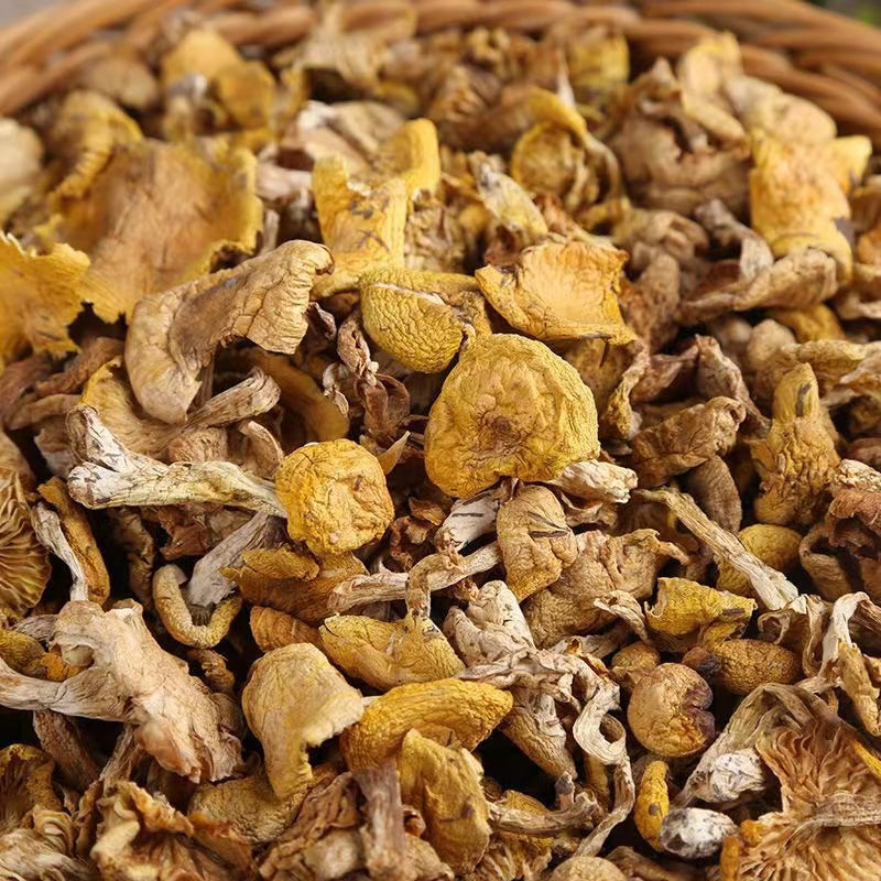 Wild Dried Chanterelles Mushroom