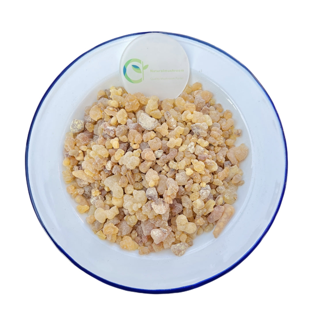 100% Natural Premium Frankincense Incense & Boswellia Sacra