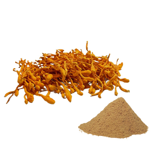 Dual Extract Cordyceps Mushroom Extract Powder 20% Beta Glucan / Pesticide Residue Free